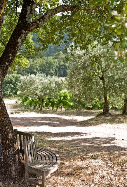Tranquilité près des oliviers au domaine de Gavaisson en Provence